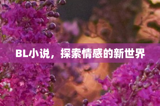 BL小说,探索情感的新世界 BL小说,探索情感的新世界
