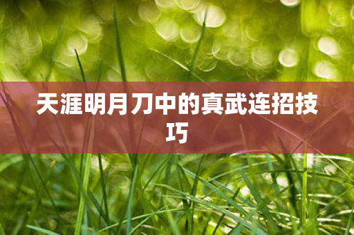 天涯明月刀中的真武连招技巧