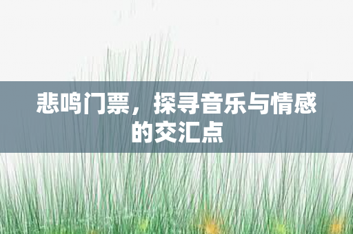 悲鸣门票,探寻音乐与情感的交汇点 悲鸣门票,探寻音乐与情感的交汇点