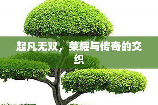 起凡无双,荣耀与传奇的交织 起凡无双,荣耀与传奇的交织