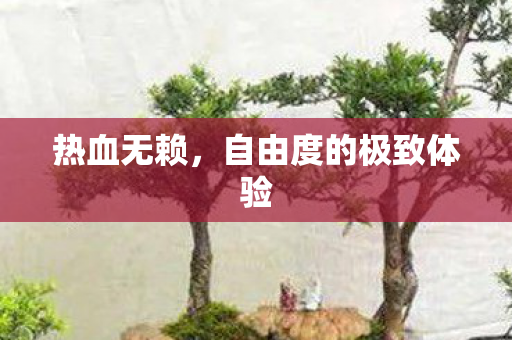 热血无赖,自由度的极致体验 热血无赖,自由度的极致体验