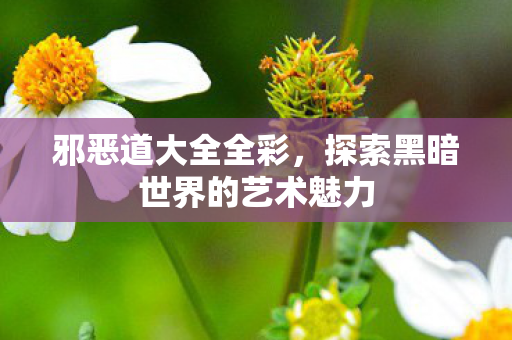 邪恶道大全全彩,探索黑暗世界的艺术魅力 邪恶道大全全彩,探索黑暗世界的艺术魅力