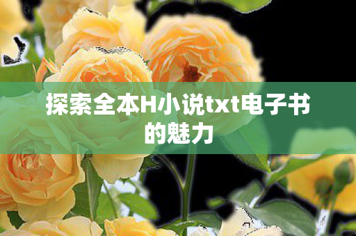 探索全本H小说txt电子书的魅力 探索全本H小说txt电子书的魅力