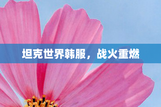 坦克世界韩服,战火重燃 坦克世界韩服,战火重燃
