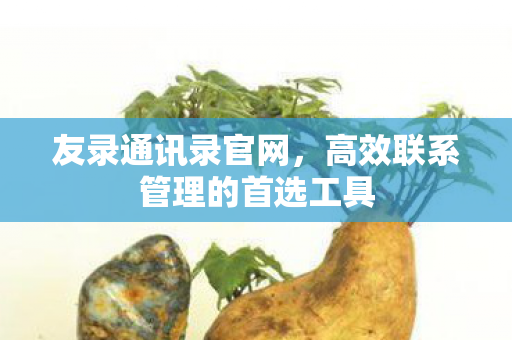 友录通讯录官网,高效联系管理的首选工具 友录通讯录官网,高效联系管理的首选工具