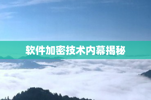 软件加密技术内幕揭秘 软件加密技术内幕揭秘