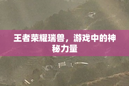 王者荣耀瑞兽,游戏中的神秘力量 王者荣耀瑞兽,游戏中的神秘力量