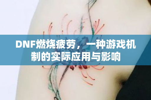 DNF燃烧疲劳,一种游戏机制的实际应用与影响 DNF燃烧疲劳,一种游戏机制的实际应用与影响