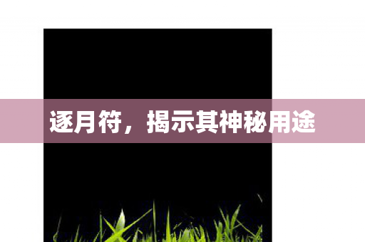 逐月符,揭示其神秘用途 逐月符,揭示其神秘用途