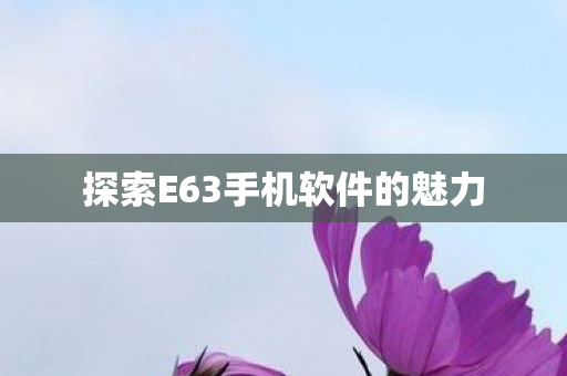 探索E63手机软件的魅力
