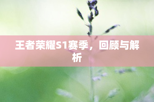 王者荣耀S1赛季,回顾与解析 王者荣耀S1赛季,回顾与解析