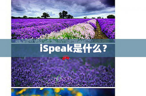 iSpeak是什么? iSpeak是什么?