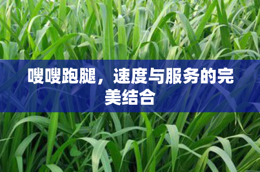 嗖嗖跑腿,速度与服务的完美结合 嗖嗖跑腿,速度与服务的完美结合