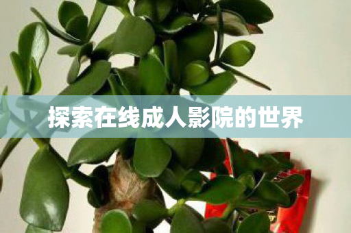 探索在线成人影院的世界 探索在线成人影院的世界