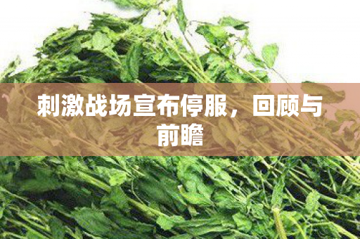 刺激战场宣布停服,回顾与前瞻 刺激战场宣布停服,回顾与前瞻