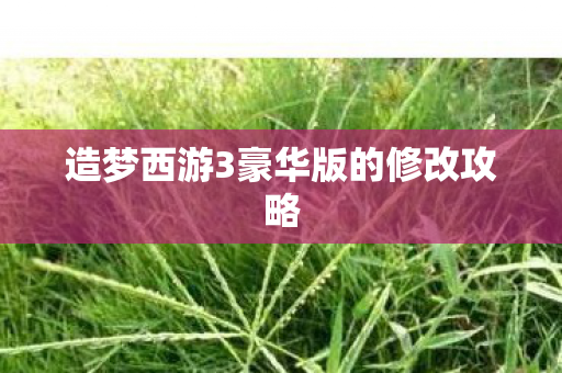 造梦西游3豪华版的修改攻略 造梦西游3豪华版的修改攻略