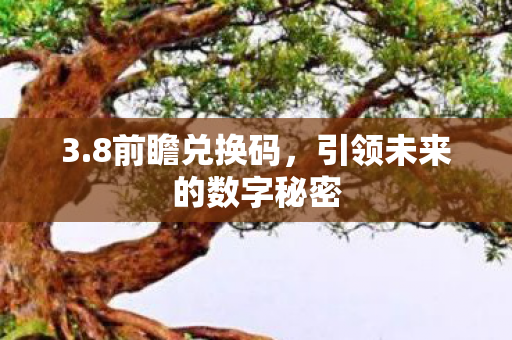 3.8前瞻兑换码，引领未来的数字秘密