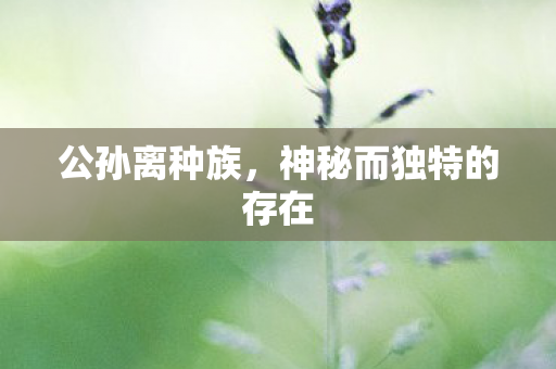 公孙离种族,神秘而独特的存在 公孙离种族,神秘而独特的存在