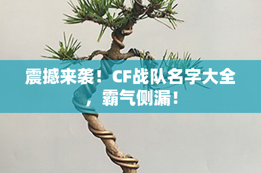 震撼来袭!CF战队名字大全,霸气侧漏! 震撼来袭!CF战队名字大全,霸气侧漏!