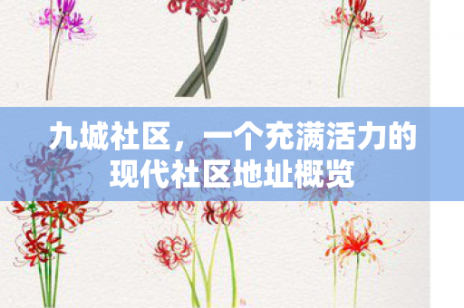 九城社区,一个充满活力的现代社区地址概览 九城社区,一个充满活力的现代社区地址概览