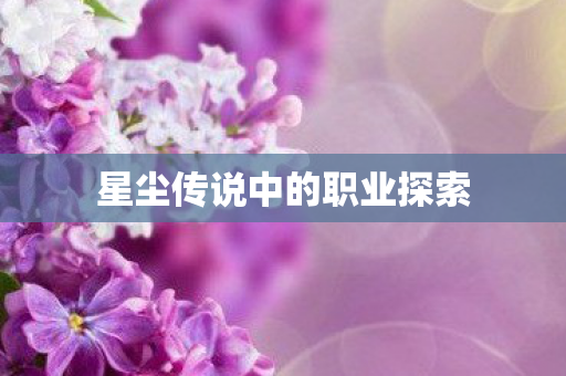 星尘传说中的职业探索 星尘传说中的职业探索