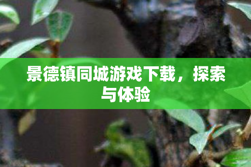 景德镇同城游戏下载,探索与体验 景德镇同城游戏下载,探索与体验