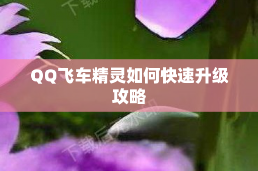 QQ飞车精灵如何快速升级攻略 QQ飞车精灵如何快速升级攻略