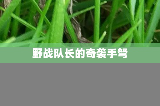 野战队长的奇袭手弩