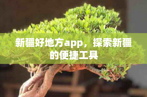 新疆好地方app,探索新疆的便捷工具 新疆好地方app,探索新疆的便捷工具