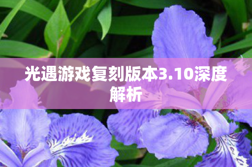 光遇游戏复刻版本3.10深度解析 光遇游戏复刻版本3.10深度解析