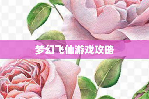 梦幻飞仙游戏攻略 梦幻飞仙游戏攻略