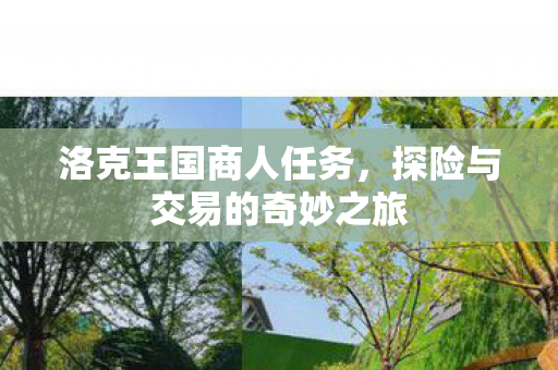 洛克王国商人任务，探险与交易的奇妙之旅