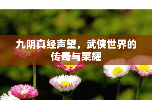 九阴真经声望，武侠世界的传奇与荣耀