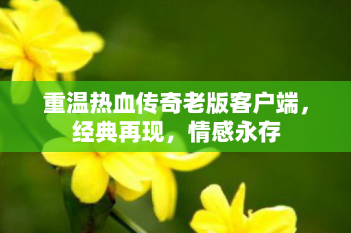 重温热血传奇老版客户端,经典再现,情感永存 重温热血传奇老版客户端,经典再现,情感永存