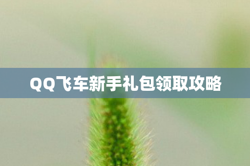 QQ飞车新手礼包领取攻略