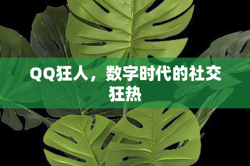 QQ狂人,数字时代的社交狂热 QQ狂人,数字时代的社交狂热