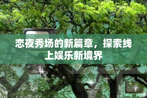 恋夜秀场的新篇章，探索线上娱乐新境界