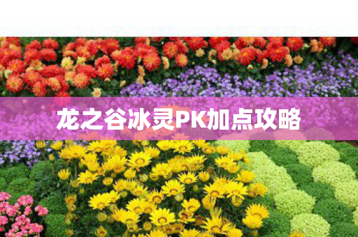 龙之谷冰灵PK加点攻略 龙之谷冰灵PK加点攻略
