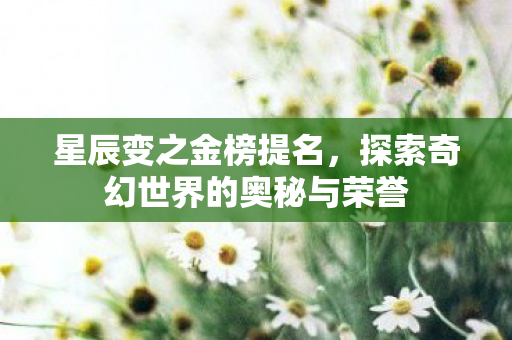 星辰变之金榜提名，探索奇幻世界的奥秘与荣誉