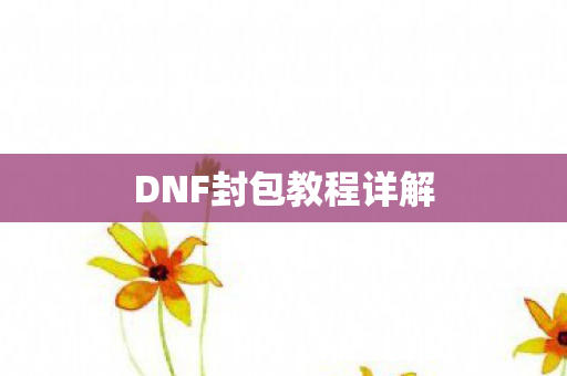 DNF封包教程详解 DNF封包教程详解