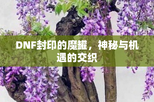 DNF封印的魔罐,神秘与机遇的交织 DNF封印的魔罐,神秘与机遇的交织