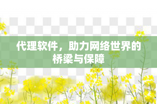 代理软件,助力网络世界的桥梁与保障 代理软件,助力网络世界的桥梁与保障