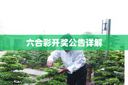 六合彩开奖公告详解 六合彩开奖公告详解