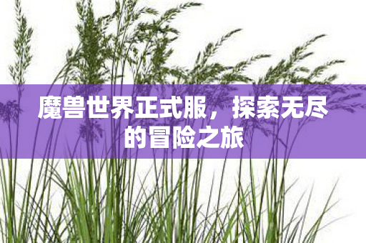 魔兽世界正式服,探索无尽的冒险之旅 魔兽世界正式服,探索无尽的冒险之旅