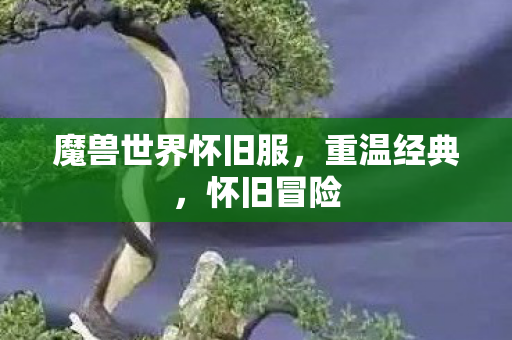 魔兽世界怀旧服，重温经典，怀旧冒险