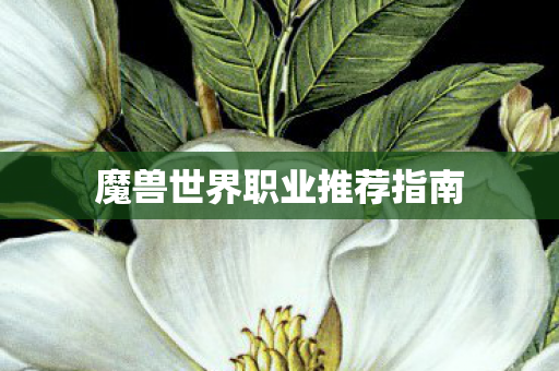 魔兽世界职业推荐指南 魔兽世界职业推荐指南