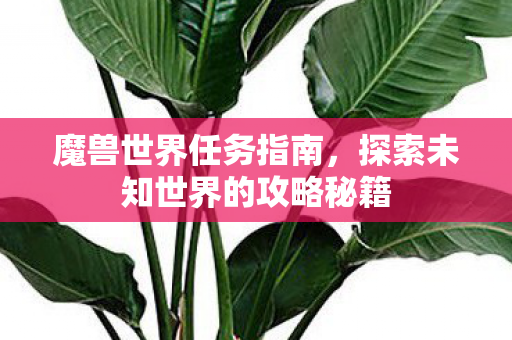 魔兽世界任务指南,探索未知世界的攻略秘籍 魔兽世界任务指南,探索未知世界的攻略秘籍
