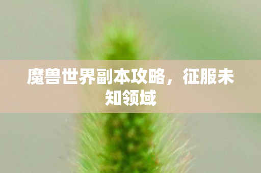 魔兽世界副本攻略,征服未知领域 魔兽世界副本攻略,征服未知领域