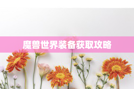 魔兽世界装备获取攻略 魔兽世界装备获取攻略