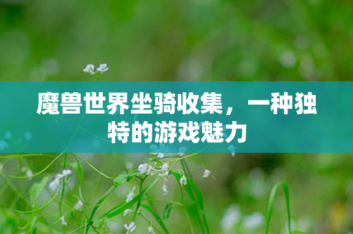 魔兽世界坐骑收集，一种独特的游戏魅力